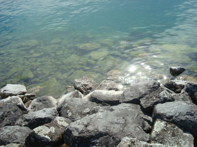lausannepen_2011 31